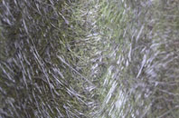 Sharrow fibreglass roof work